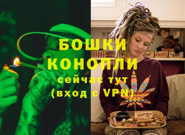 спайс Карпинск