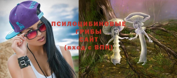 гидра Пролетарск