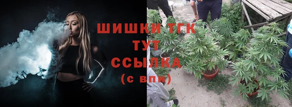 гидра Пролетарск