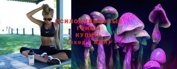 MESCALINE Кинешма