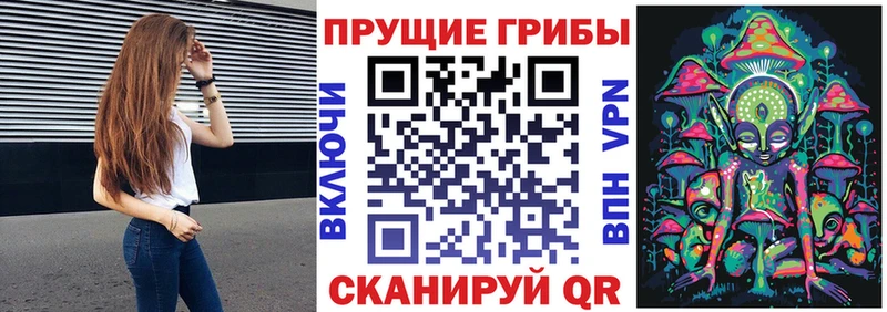 цена   Кодинск  Галлюциногенные грибы Cubensis 